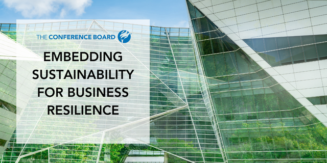Embedding Sustainability for Business Resilience
